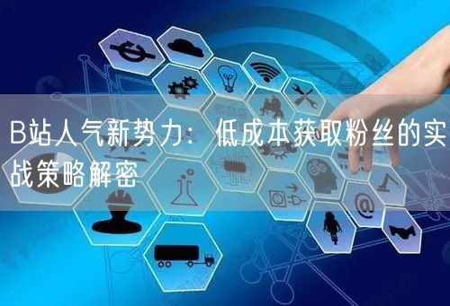 B站人气新势力：低成本获取粉丝的实战策略解密