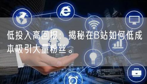 低投入高回报：揭秘在B站如何低成本吸引大量粉丝。