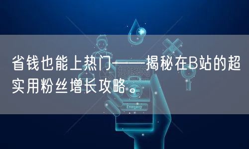 省钱也能上热门——揭秘在B站的超实用粉丝增长攻略。