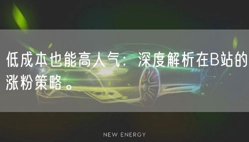 低成本也能高人气：深度解析在B站的涨粉策略。