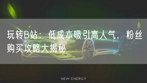 玩转B站：低成本吸引高人气，粉丝购买攻略大揭秘