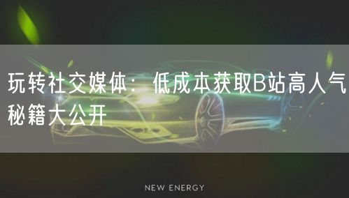 玩转社交媒体：低成本获取B站高人气秘籍大公开