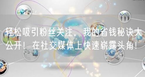 轻松吸引粉丝关注，我的省钱秘诀大公开！在社交媒体上快速崭露头角！