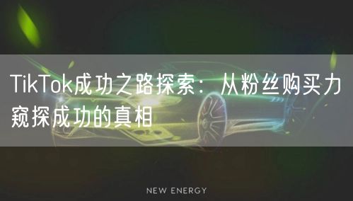 TikTok成功之路探索：从粉丝购买力窥探成功的真相