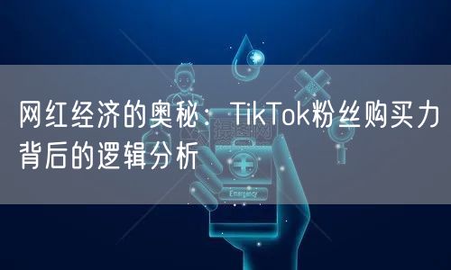 网红经济的奥秘：TikTok粉丝购买力背后的逻辑分析