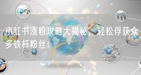 小红书涨粉攻略大揭秘，轻松俘获众多铁杆粉丝！