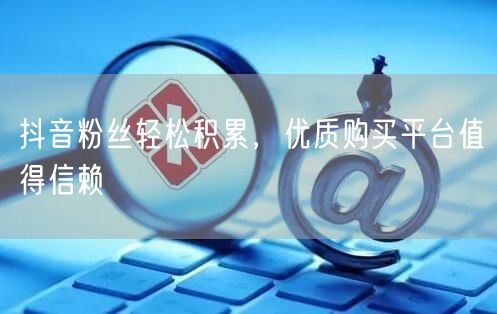 抖音粉丝轻松积累，优质购买平台值得信赖