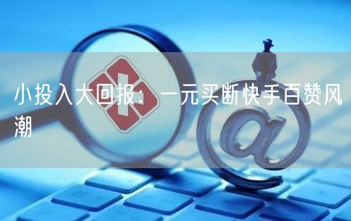 小投入大回报：一元买断快手百赞风潮