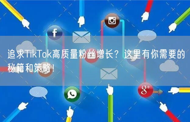 追求TikTok高质量粉丝增长？这里有你需要的秘籍和策略！