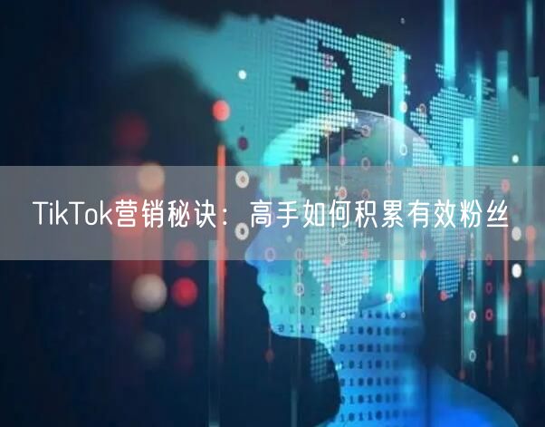 TikTok营销秘诀：高手如何积累有效粉丝