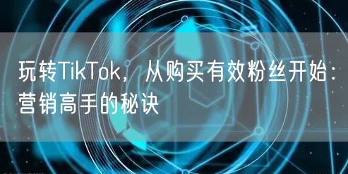 玩转TikTok，从购买有效粉丝开始：营销高手的秘诀