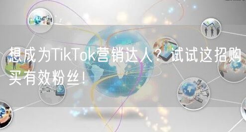 想成为TikTok营销达人？试试这招购买有效粉丝！