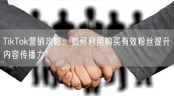 TikTok营销攻略：如何利用购买有效粉丝提升内容传播力?