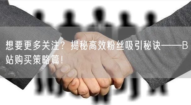 想要更多关注？揭秘高效粉丝吸引秘诀——B站购买策略篇！