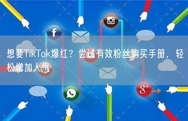 想要TikTok爆红？尝试有效粉丝购买手册，轻松增加人气