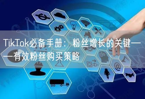 TikTok必备手册：粉丝增长的关键——有效粉丝购买策略
