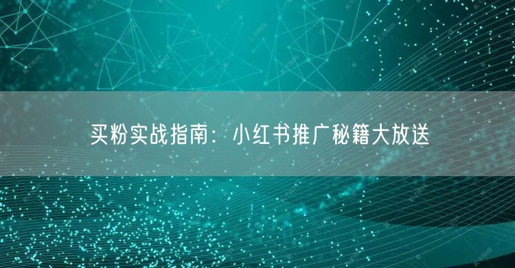 买粉实战指南：小红书推广秘籍大放送
