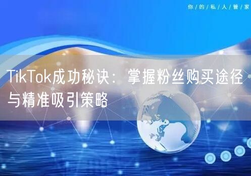 TikTok成功秘诀：掌握粉丝购买途径与精准吸引策略