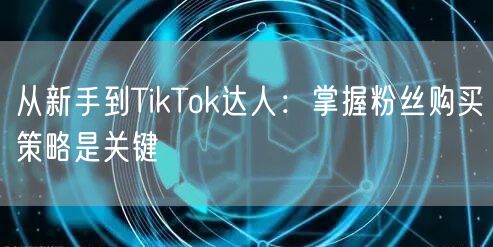 从新手到TikTok达人：掌握粉丝购买策略是关键