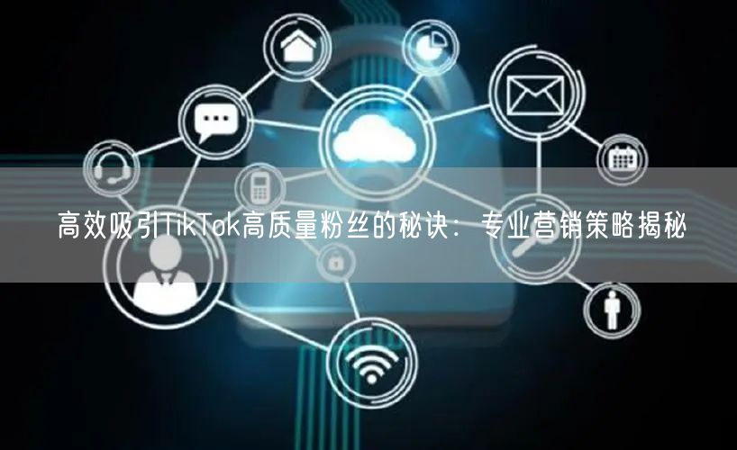 高效吸引TikTok高质量粉丝的秘诀：专业营销策略揭秘