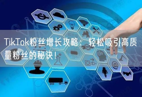 TikTok粉丝增长攻略：轻松吸引高质量粉丝的秘诀！