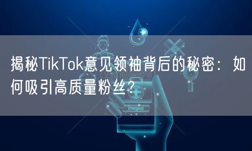 揭秘TikTok意见领袖背后的秘密：如何吸引高质量粉丝？