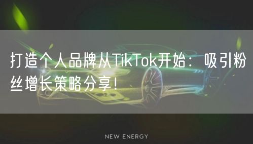 打造个人品牌从TikTok开始：吸引粉丝增长策略分享！