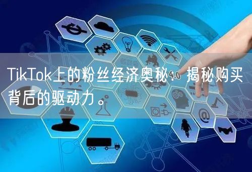 TikTok上的粉丝经济奥秘：揭秘购买背后的驱动力。