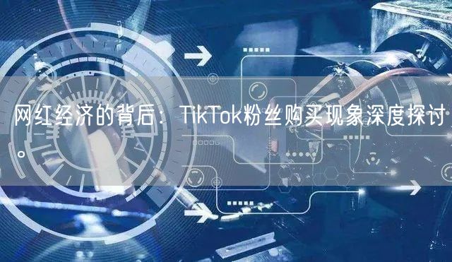 网红经济的背后：TikTok粉丝购买现象深度探讨。