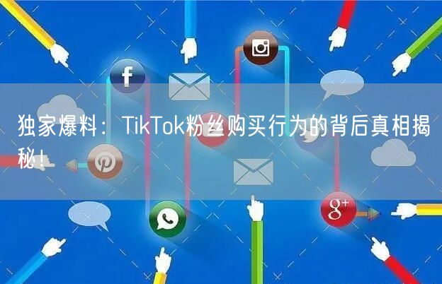独家爆料：TikTok粉丝购买行为的背后真相揭秘！