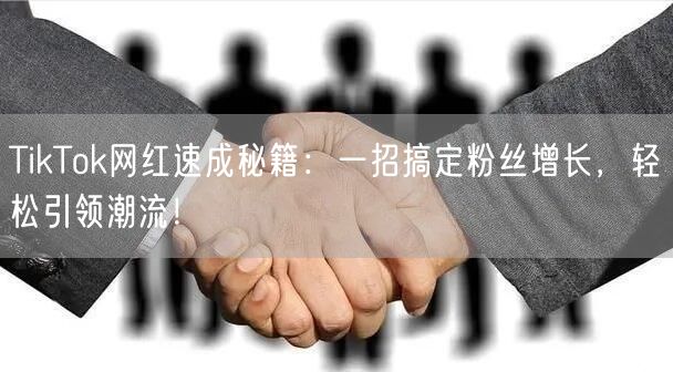 TikTok网红速成秘籍：一招搞定粉丝增长，轻松引领潮流！