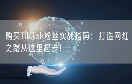 购买TikTok粉丝实战指南：打造网红之路从这里起步！
