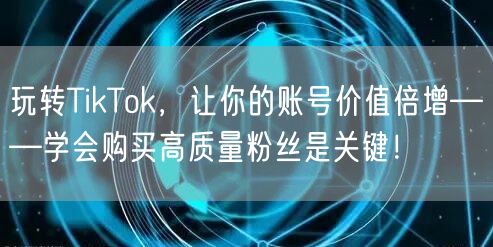 玩转TikTok，让你的账号价值倍增——学会购买高质量粉丝是关键！