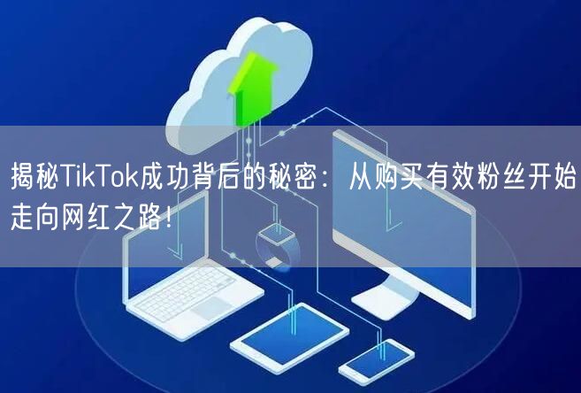 揭秘TikTok成功背后的秘密：从购买有效粉丝开始走向网红之路！