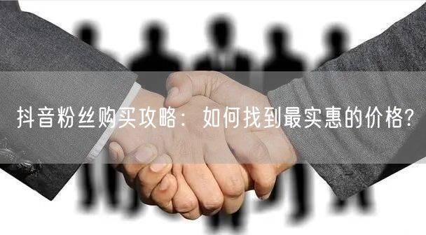 抖音粉丝购买攻略：如何找到最实惠的价格?