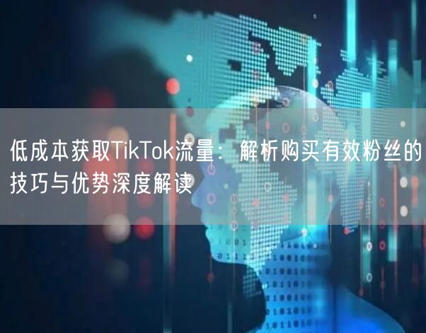 低成本获取TikTok流量：解析购买有效粉丝的技巧与优势深度解读