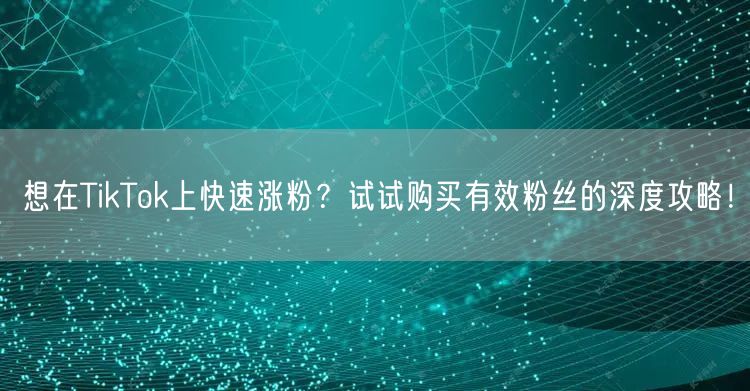 想在TikTok上快速涨粉？试试购买有效粉丝的深度攻略！