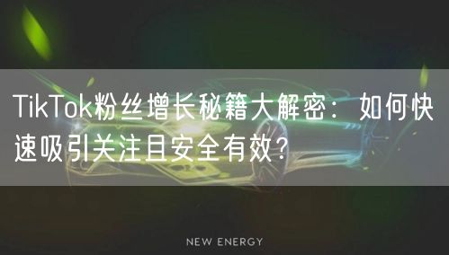 TikTok粉丝增长秘籍大解密：如何快速吸引关注且安全有效？