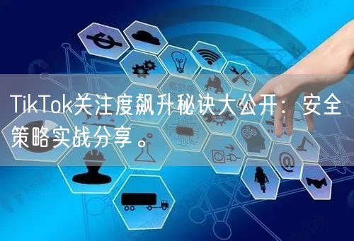 TikTok关注度飙升秘诀大公开：安全策略实战分享。