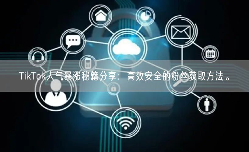 TikTok人气暴涨秘籍分享：高效安全的粉丝获取方法。