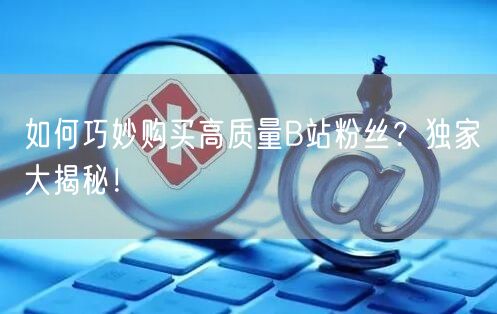 如何巧妙购买高质量B站粉丝？独家大揭秘！