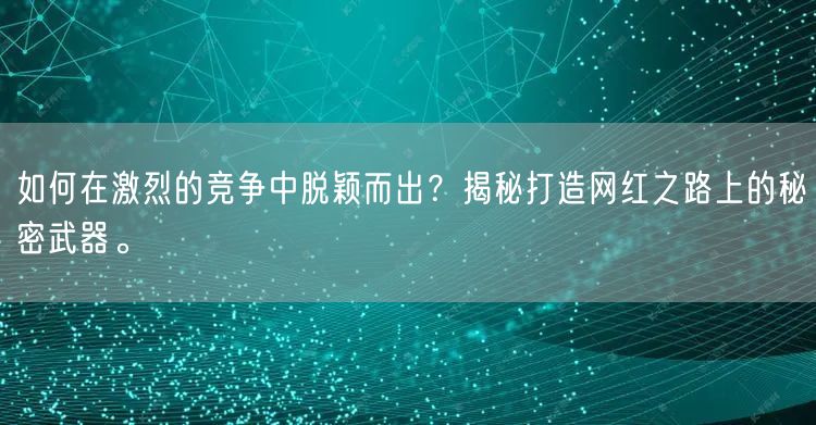 如何在激烈的竞争中脱颖而出？揭秘打造网红之路上的秘密武器。