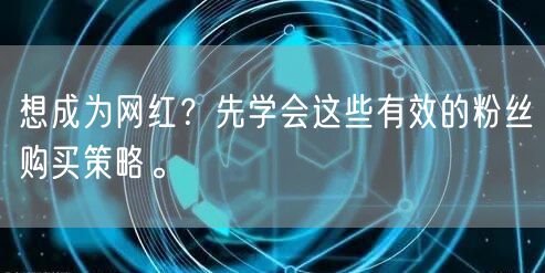 想成为网红？先学会这些有效的粉丝购买策略。