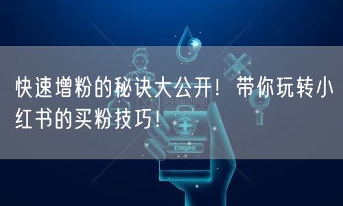 快速增粉的秘诀大公开！带你玩转小红书的买粉技巧！