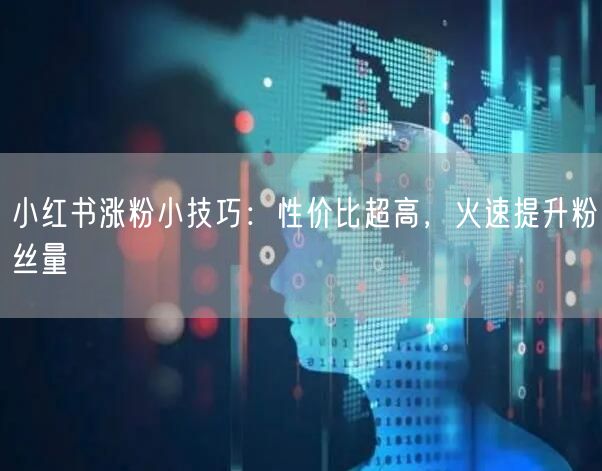 小红书涨粉小技巧：性价比超高，火速提升粉丝量