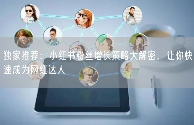 独家推荐：小红书粉丝增长策略大解密，让你快速成为网红达人