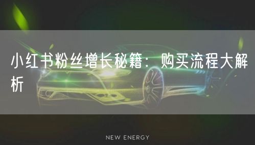 小红书粉丝增长秘籍：购买流程大解析