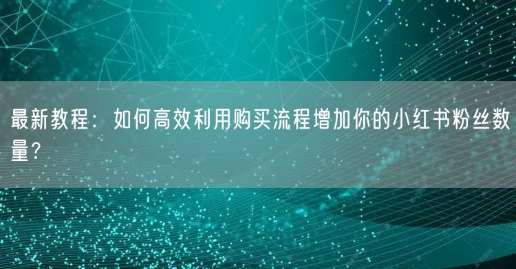 最新教程：如何高效利用购买流程增加你的小红书粉丝数量？