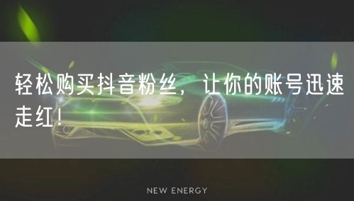 轻松购买抖音粉丝，让你的账号迅速走红！