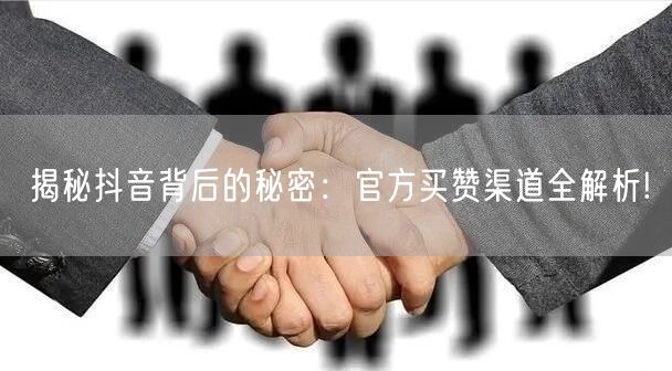 揭秘抖音背后的秘密：官方买赞渠道全解析!